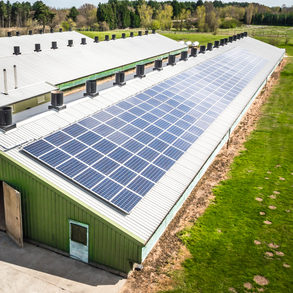commercial solar panel farm